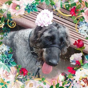 Meet your Posher, Beth